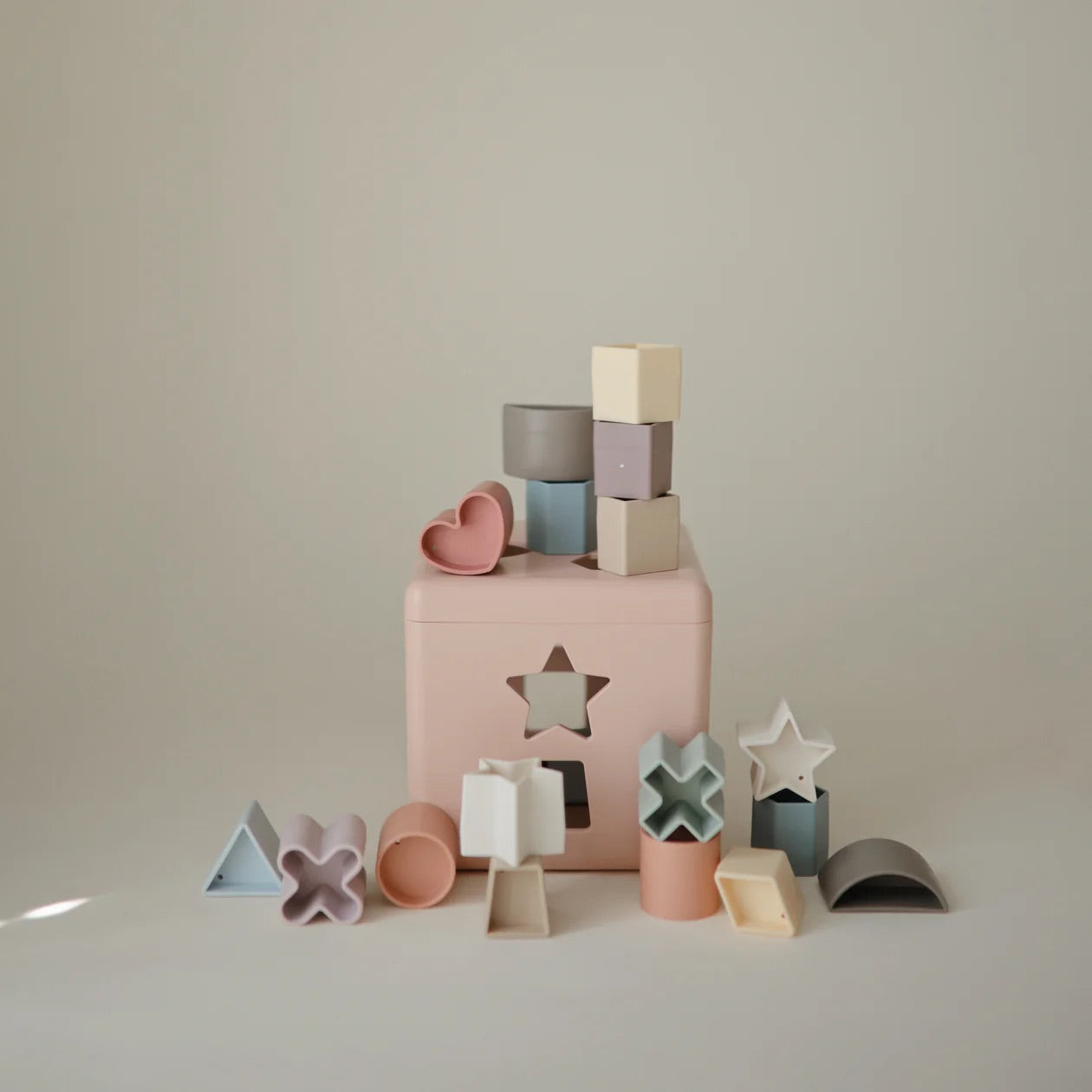 Shape Sorting Box (Petal)