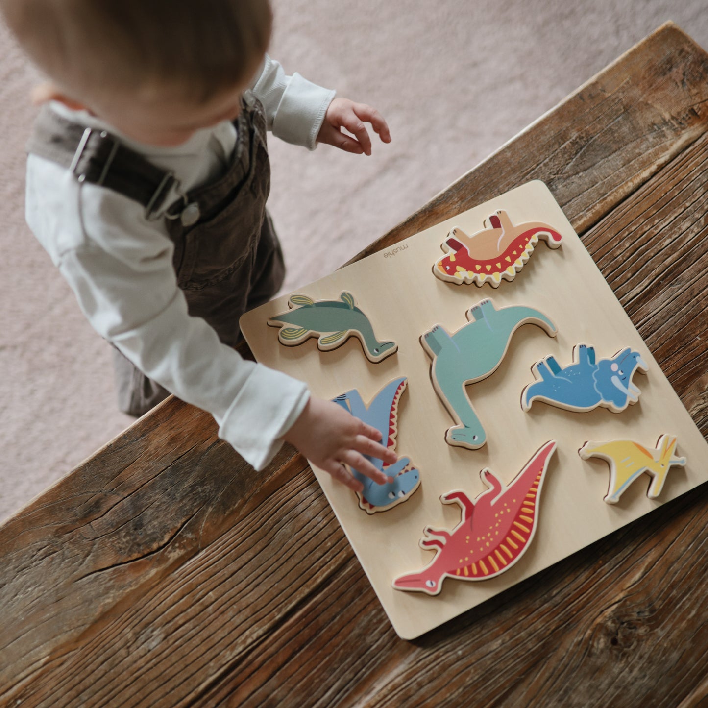 Dino Wooden Puzzle