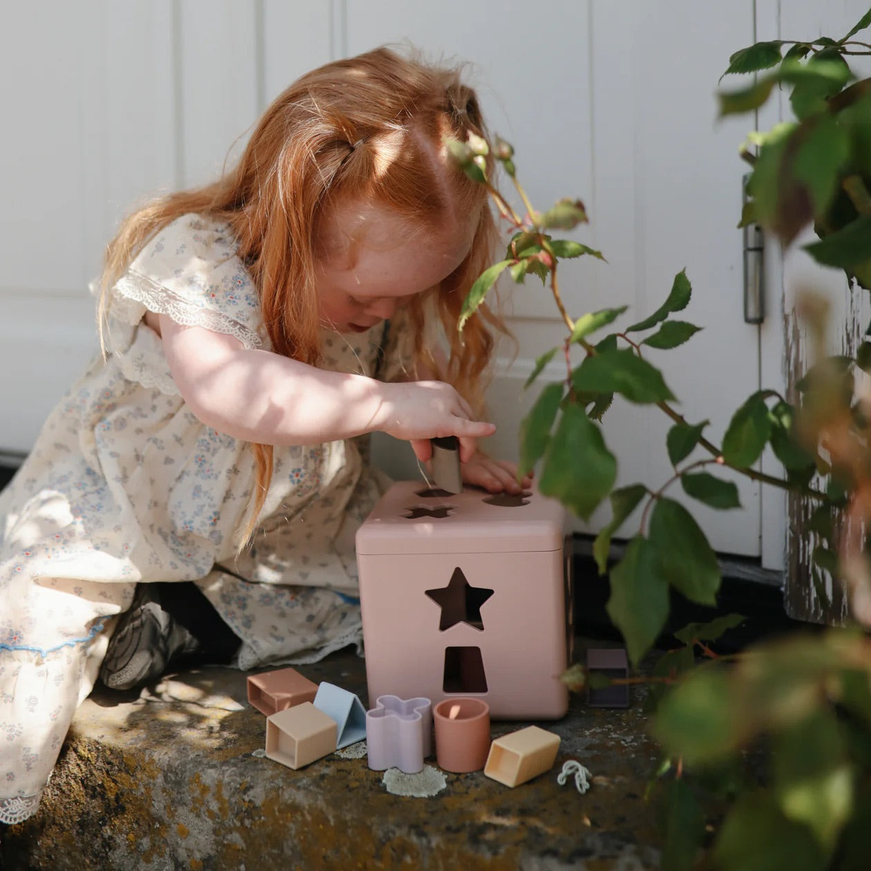 Shape Sorting Box (Petal)