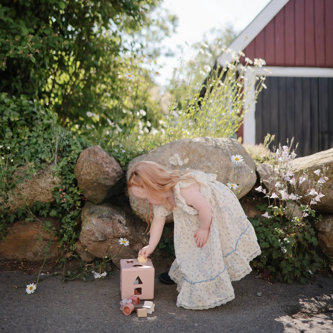 Shape Sorting Box (Petal)