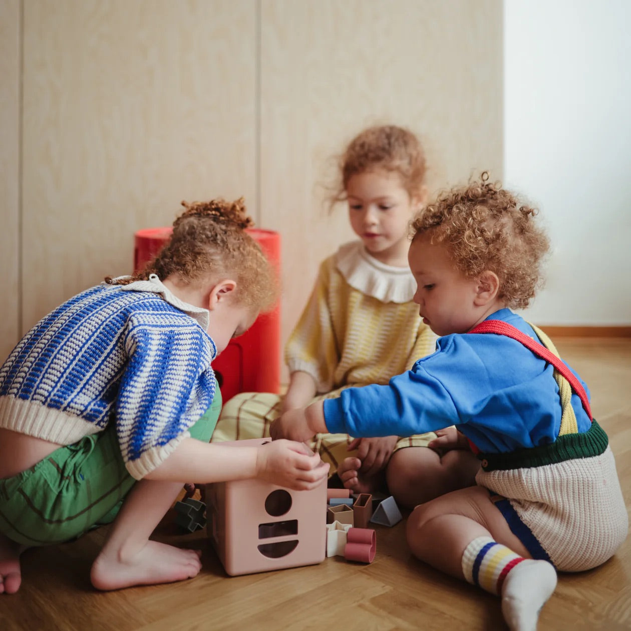Shape Sorting Box (Petal)